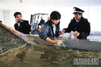 　執(zhí)法人員正讓一名員工從洗豆芽池內(nèi)取樣，準備帶回檢測化驗。