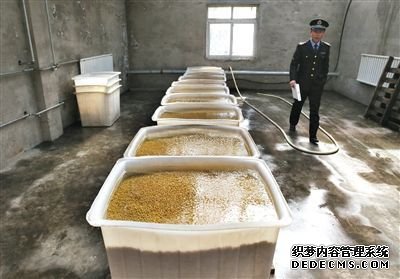 “基地”的豆芽車間內(nèi)浸泡著大量黃豆，執(zhí)法人員正在現(xiàn)場勘查。