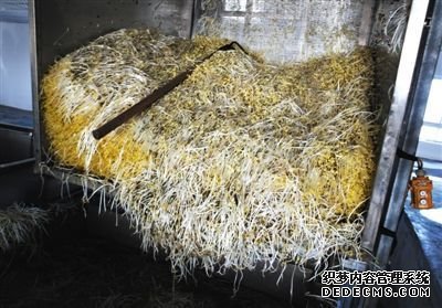 大興豆芽非法生產(chǎn)“基地”的車間內(nèi)，已經(jīng)生產(chǎn)出來的豆芽正在等待最后一道清洗工序。這些豆芽的長度接近20厘米，遠遠超過正常豆芽。