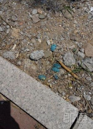 鼠藥顏色鮮艷，容易被兒童誤以為是糖塊撿起來(lái)食用，家長(zhǎng)要注意。