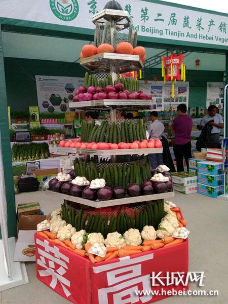 蔬菜“展架”。聶承華 攝