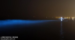 2017年9月17日凌晨，在河北省秦皇島市金夢(mèng)海灣浴場(chǎng)拍攝的“熒光?！?。