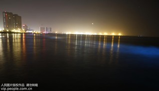 2017年9月17日凌晨，在河北省秦皇島市金夢(mèng)海灣浴場(chǎng)拍攝的“熒光?！?。