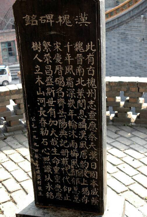 相傳此槐為漢代所植，樹干高達(dá)30余米，胸徑2.49米，主干高6.1米，冠幅東西24.8米，南北25.2米，一級分四枝，西面一枝被鋸，南面一枝風(fēng)折。